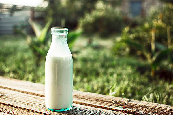 Milchflasche aus Glas